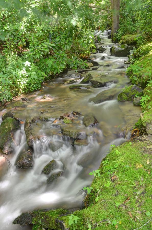 Panther Creek Cabins Чероки Экстерьер фото